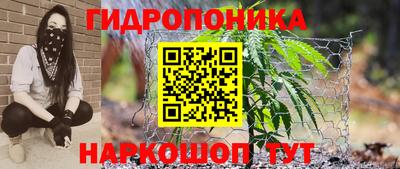 МДМА Можга