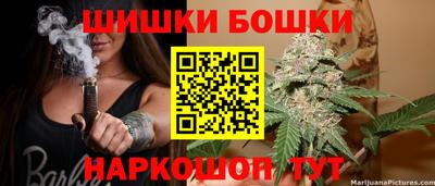 стаф Моздок