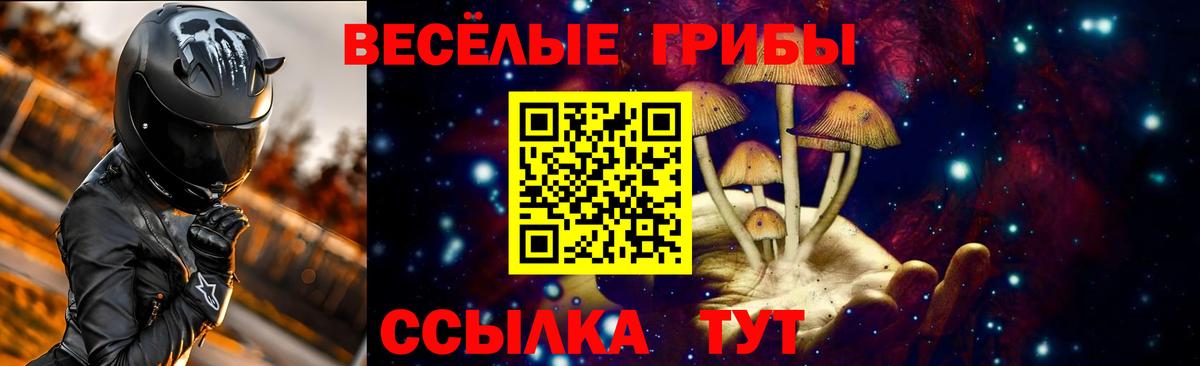 Галлюциногенные грибы мицелий Пугачёв